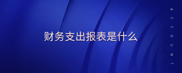 財務支出報表是什么
