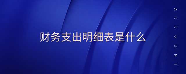 財(cái)務(wù)支出明細(xì)表是什么