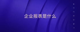 企業(yè)報(bào)表是什么