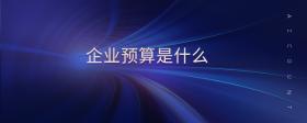 企業(yè)預(yù)算是什么
