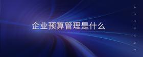 企業(yè)預(yù)算管理是什么