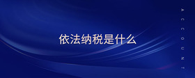 依法納稅是什么