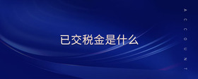 已交稅金是什么