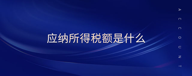 應納所得稅額是什么