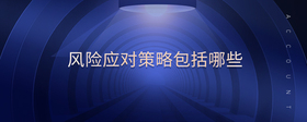 風(fēng)險應(yīng)對策略包括哪些