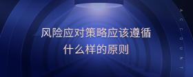 風(fēng)險應(yīng)對策略應(yīng)該遵循什么樣的原則
