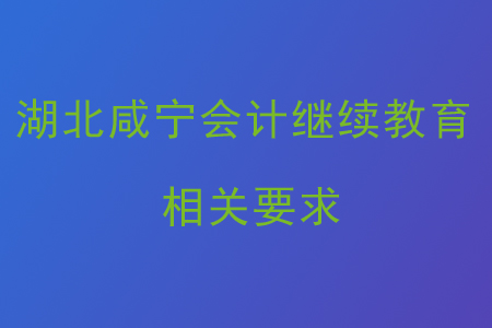 湖北咸寧會(huì)計(jì)繼續(xù)教育相關(guān)要求