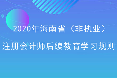 2020年海南?。ǚ菆?zhí)業(yè)）注冊會計師后續(xù)教育學習規(guī)則