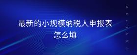最新的小規(guī)模納稅人申報表怎么填