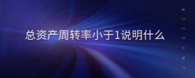 總資產(chǎn)周轉(zhuǎn)率小于1說(shuō)明什么