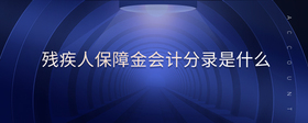 殘疾人保障金會(huì)計(jì)分錄是什么