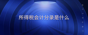 所得稅會(huì)計(jì)分錄是什么