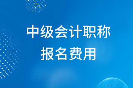 2020年湖北中級(jí)會(huì)計(jì)職稱報(bào)名費(fèi)為多少元？