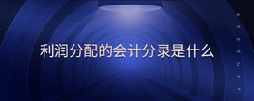 利潤分配的會(huì)計(jì)分錄是什么