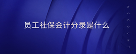 員工社保會計分錄是什么