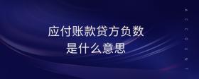 應(yīng)付賬款貸方負(fù)數(shù)是什么意思