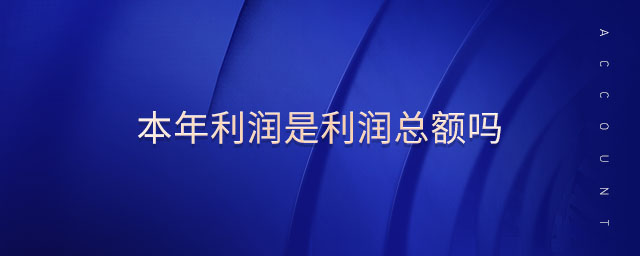 本年利潤是利潤總額嗎