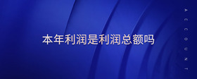 本年利潤(rùn)是利潤(rùn)總額嗎
