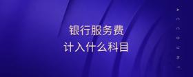 銀行服務(wù)費(fèi)計(jì)入什么科目