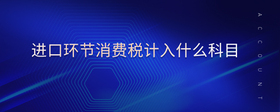 進口環(huán)節(jié)消費稅計入什么科目