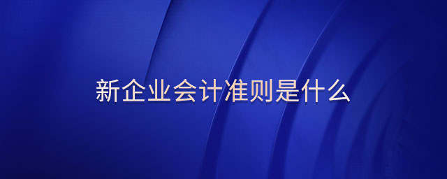 新企業(yè)會計準則是什么