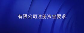有限公司注冊(cè)資金要求