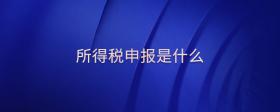 所得稅申報(bào)是什么