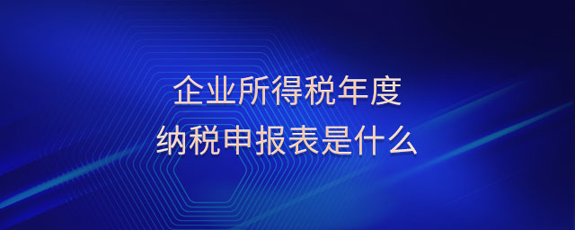 企業(yè)所得稅年度納稅申報表是什么