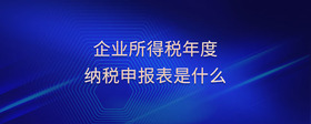 企業(yè)所得稅年度納稅申報(bào)表是什么