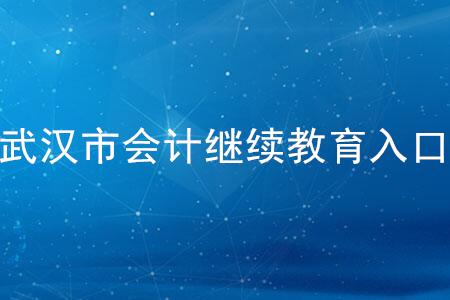2020年武漢市會(huì)計(jì)繼續(xù)教育入口