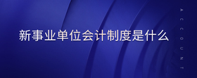 新事業(yè)單位會(huì)計(jì)制度是什么
