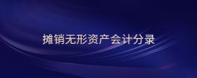 攤銷無(wú)形資產(chǎn)會(huì)計(jì)分錄