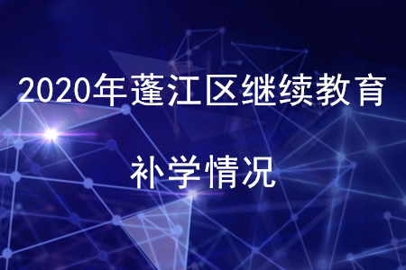 2020年廣東省蓬江區(qū)會計繼續(xù)教育補學(xué)情況