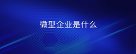 微型企業(yè)是什么