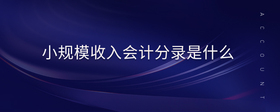 小規(guī)模收入會(huì)計(jì)分錄是什么