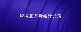 稅控服務費會計分錄