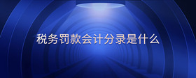 稅務(wù)罰款會(huì)計(jì)分錄是什么