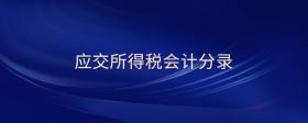 應(yīng)交所得稅會計(jì)分錄
