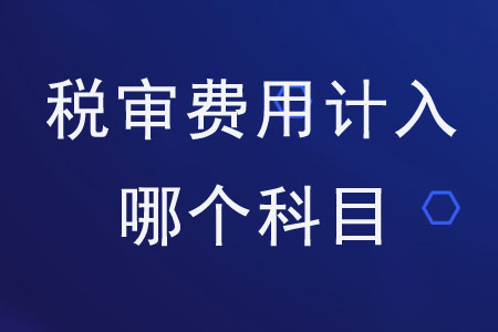 稅審費用計入哪個科目？