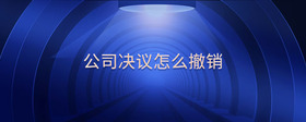 公司決議怎么撤銷(xiāo)