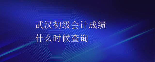 武漢初級(jí)會(huì)計(jì)成績(jī)什么時(shí)候查詢