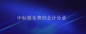 中標(biāo)服務(wù)費(fèi)的會(huì)計(jì)分錄