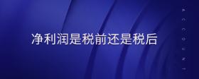 凈利潤是稅前還是稅后