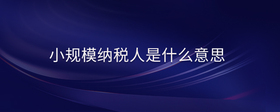 小規(guī)模納稅人是什么意思