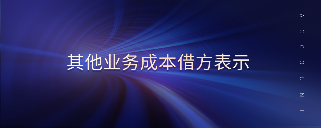 其他業(yè)務(wù)成本借方表示