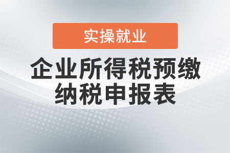關(guān)于修訂企業(yè)所得稅預(yù)繳納稅申報(bào)表的解讀