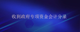 收到政府專項資金會計分錄