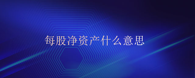 每股凈資產(chǎn)什么意思