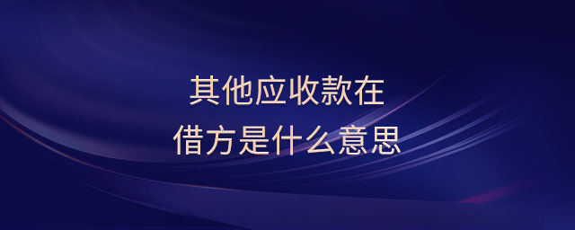 其他應收款在借方是什么意思