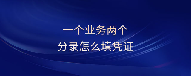 一個業(yè)務兩個分錄怎么填憑證
